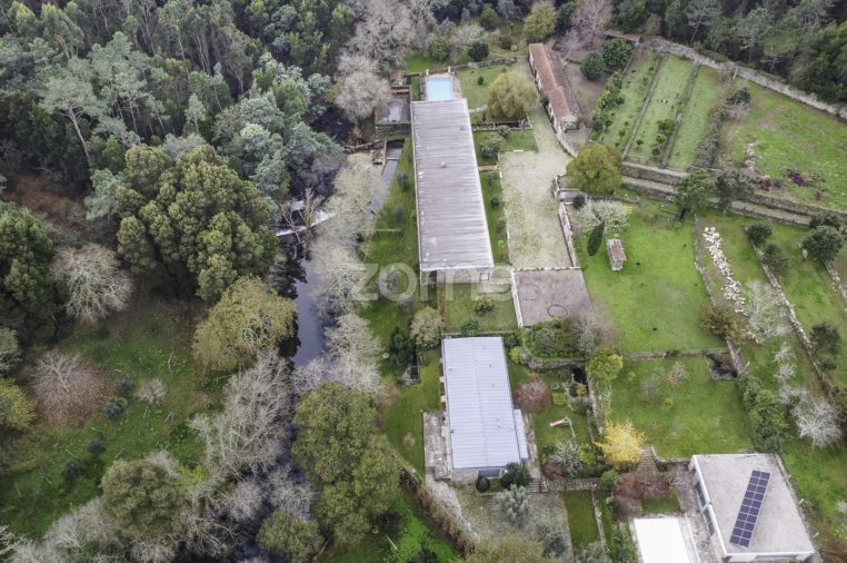 Quinta T7 para Venda em Freixieiro de Soutelo Foto 41