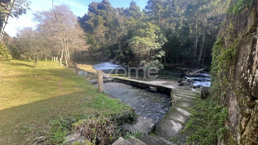 Quinta T7 para Venda em Freixieiro de Soutelo