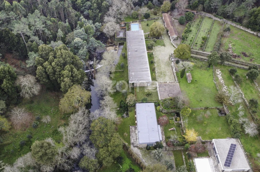 Quinta T7 para Venda em Freixieiro de Soutelo Foto 41