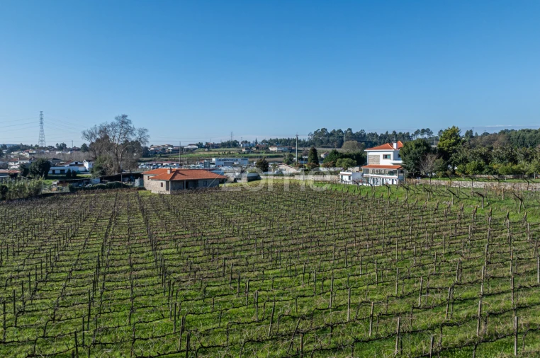Quinta T4 para Venda em Penafiel Foto 65