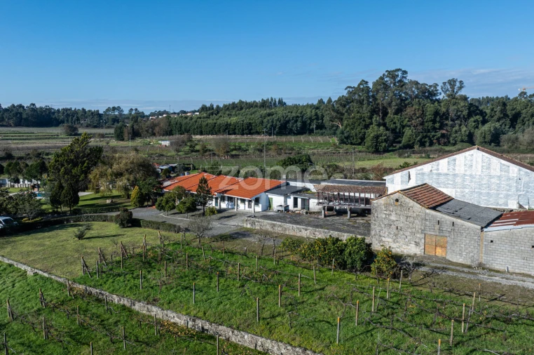 Quinta T4 para Venda em Penafiel Foto 58