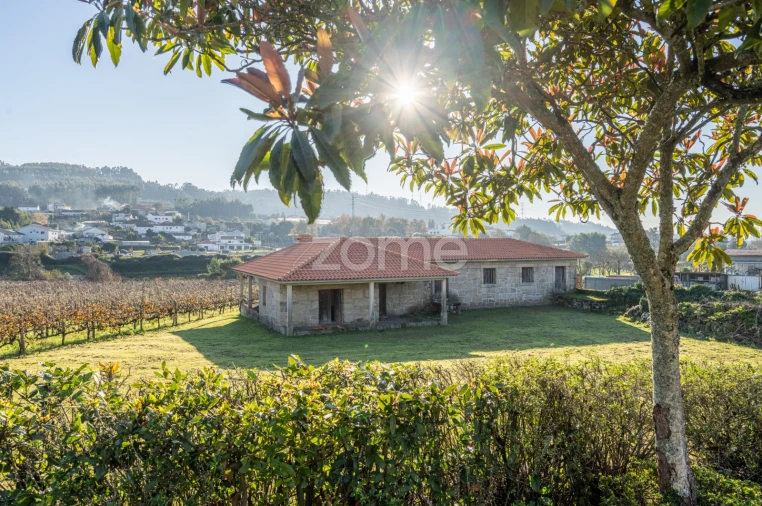 Quinta T4 para Venda em Penafiel Foto 70