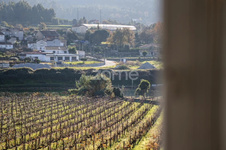 Quinta T4 para Venda em Penafiel Foto 53