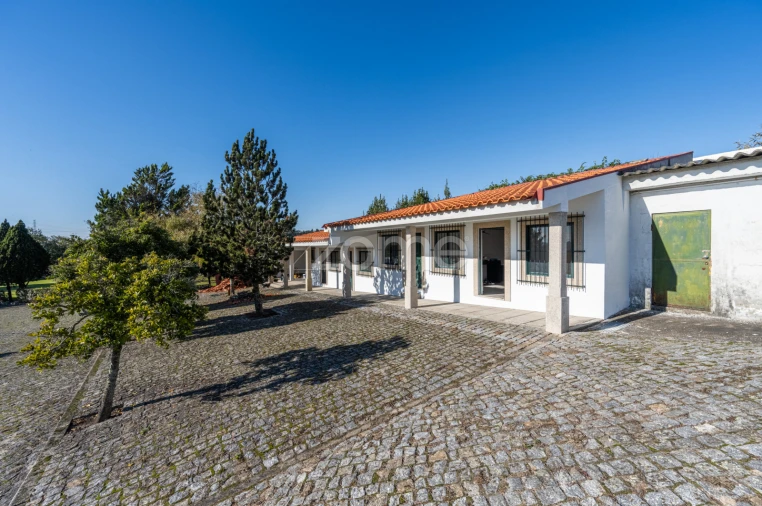 Quinta T4 para Venda em Penafiel Foto 59