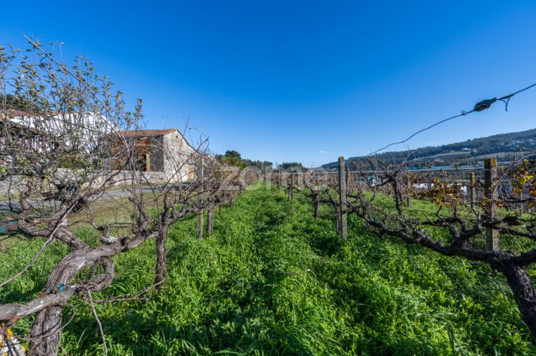 Quinta T4 para Venda em Penafiel Foto 63