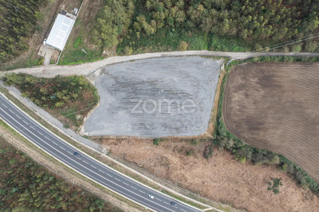 Terreno para Arrendamento em Coronado (São Romão e São Mamede) Foto 12