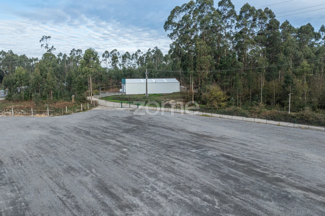 Terreno para Arrendamento em Coronado (São Romão e São Mamede) Foto 13