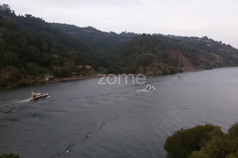 Terreno para Venda em Oliveira do Douro Foto 17