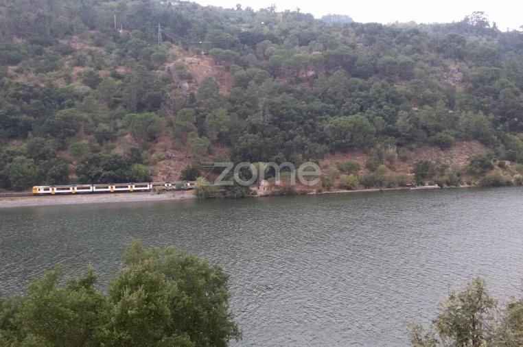 Terreno para Venda em Oliveira do Douro Foto 15