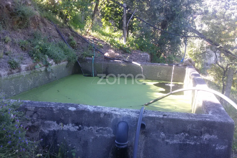 Terreno para Venda em Oliveira do Douro Foto 14