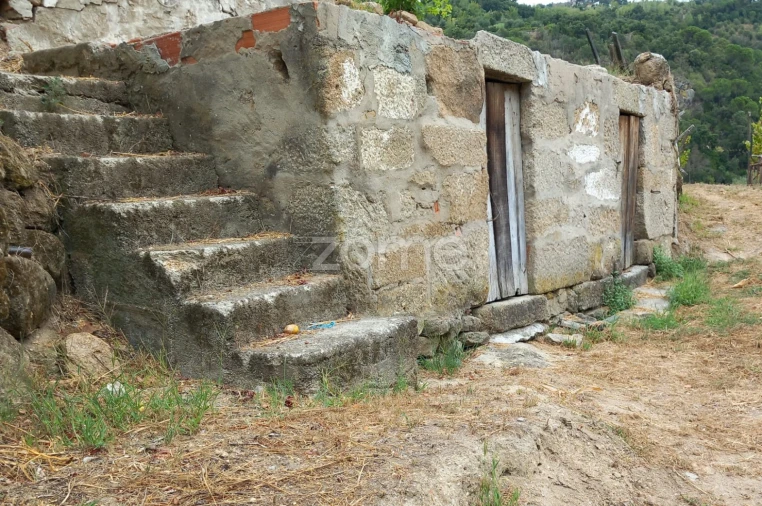 Terreno para Venda em Oliveira do Douro Foto 7