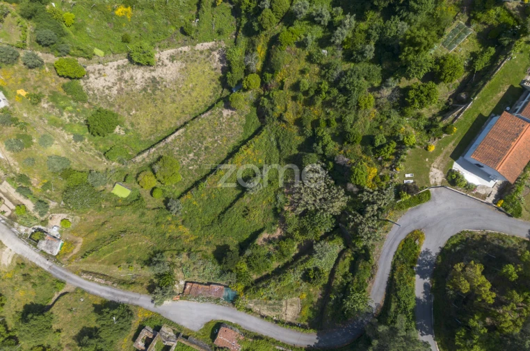 Terreno para Venda em Oliveira do Douro Foto 8