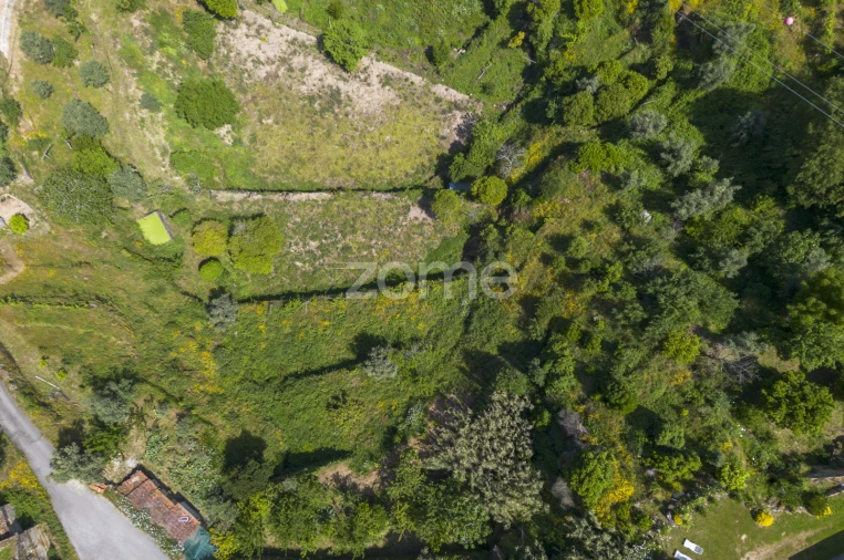 Terreno para Venda em Oliveira do Douro Foto 9