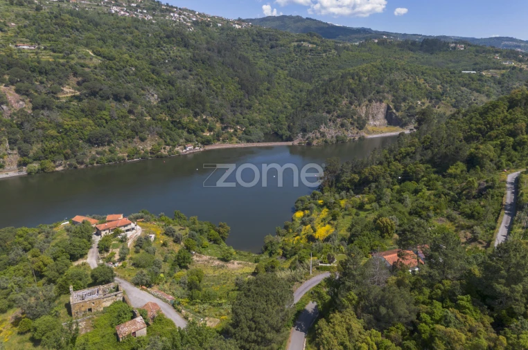 Terreno para Venda em Oliveira do Douro Foto 3