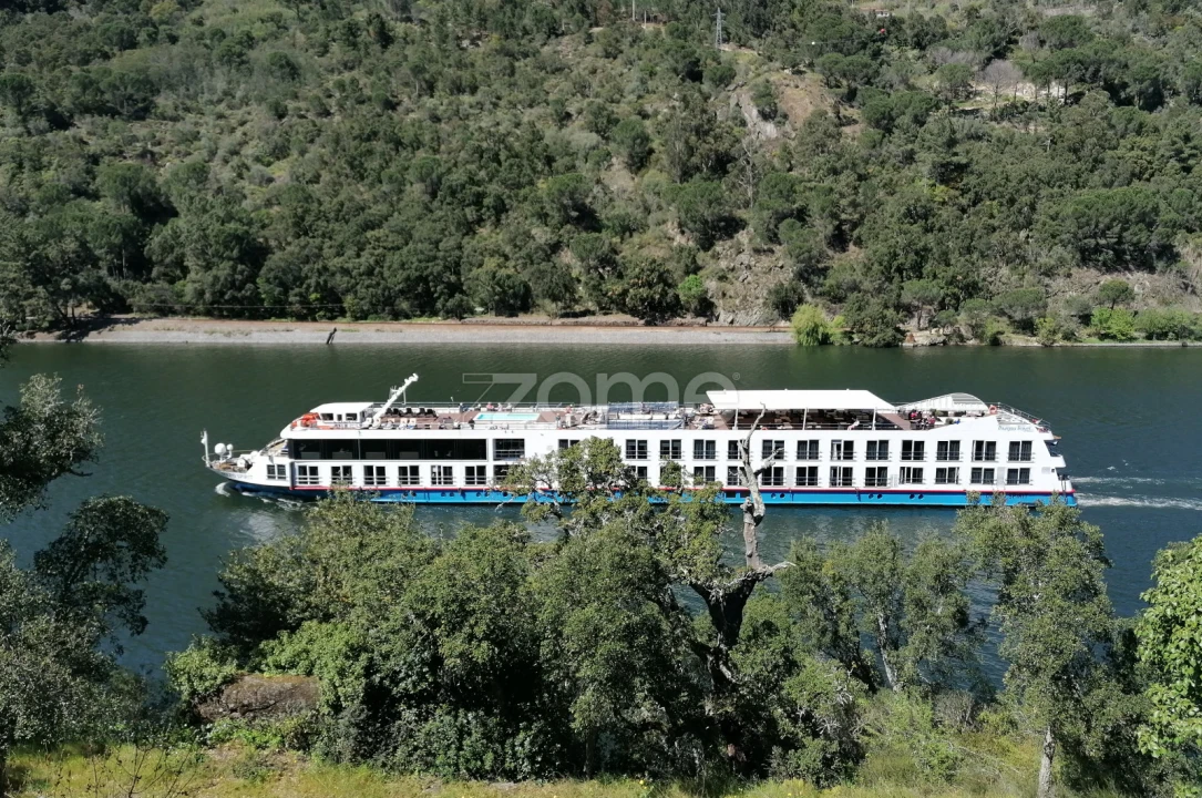 Terreno para Venda em Oliveira do Douro Foto 16