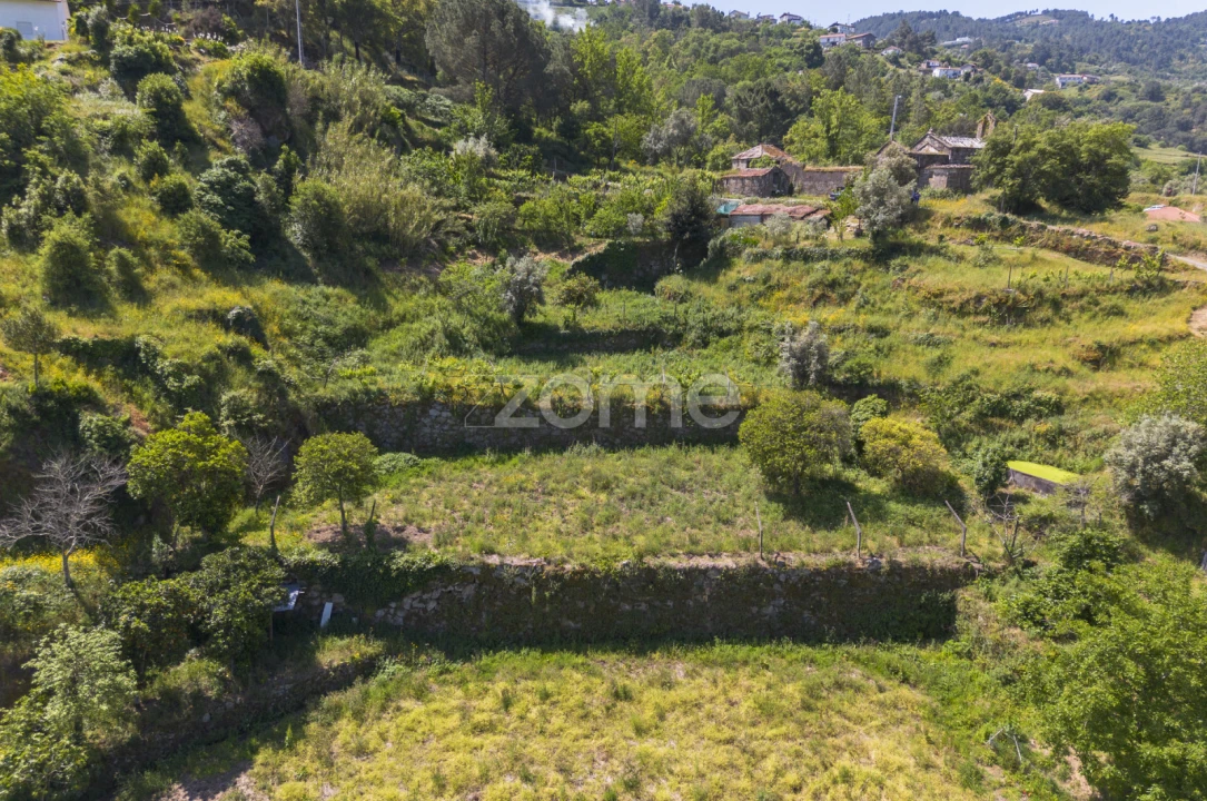 Terreno para Venda em Oliveira do Douro Foto 13