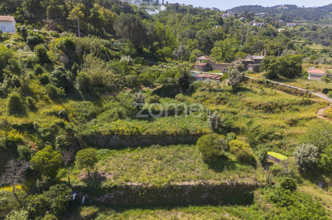 Terreno para Venda em Oliveira do Douro Foto 11