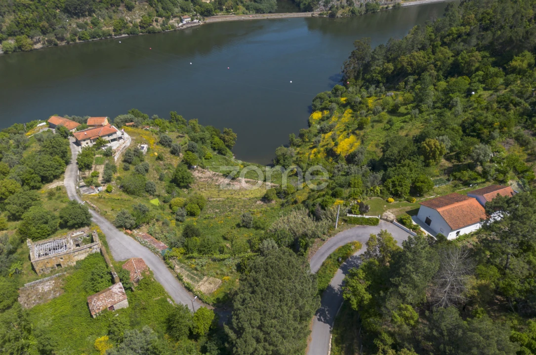 Terreno para Venda em Oliveira do Douro Foto 4