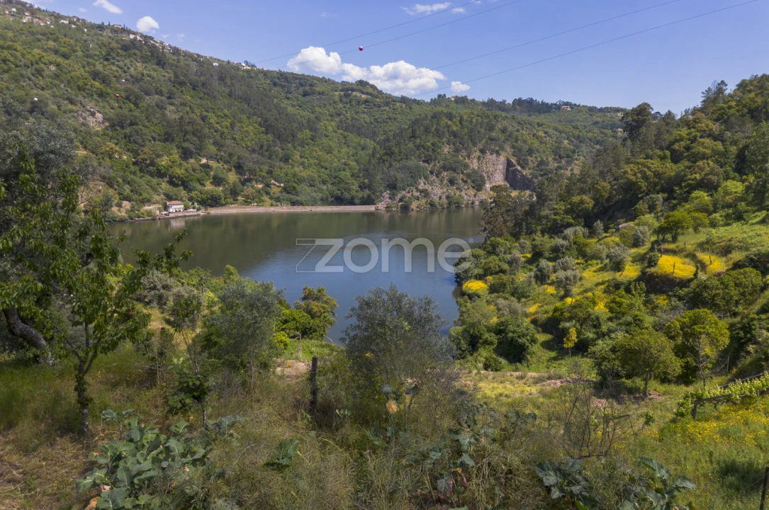 Terreno para Venda em Oliveira do Douro Foto 6