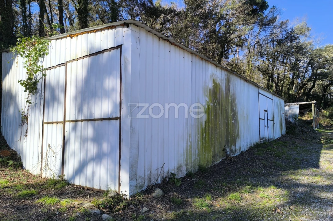 Terreno para Arrendamento em Lamelas e Guimarei Foto 25