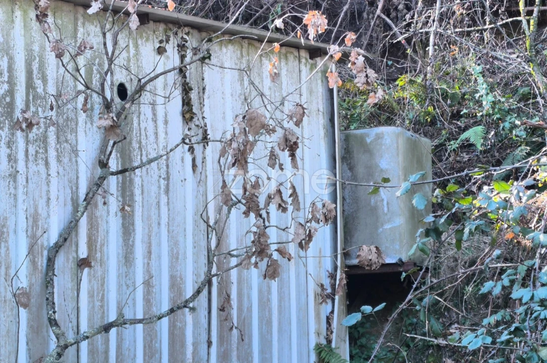 Terreno para Arrendamento em Lamelas e Guimarei Foto 24