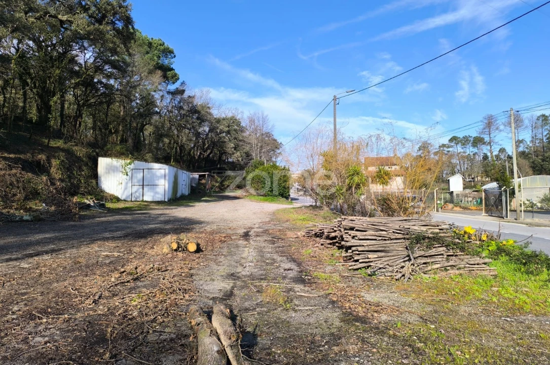Terreno para Arrendamento em Lamelas e Guimarei Foto 20