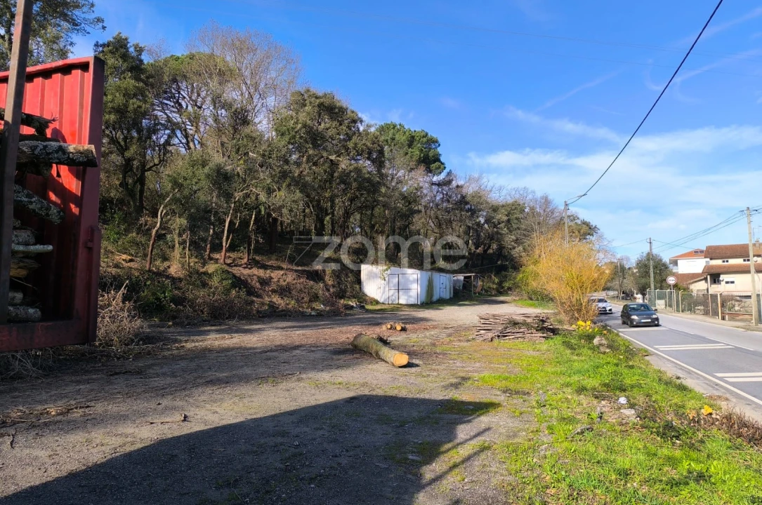 Terreno para Arrendamento em Lamelas e Guimarei Foto 19