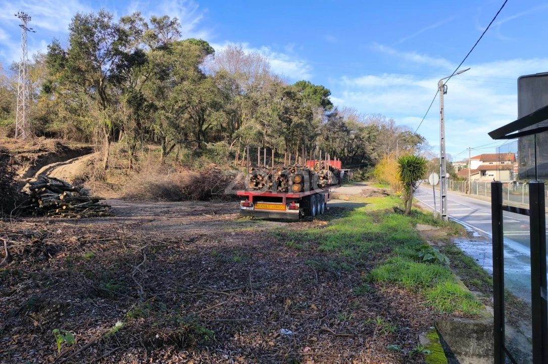 Terreno para Arrendamento em Lamelas e Guimarei Foto 23
