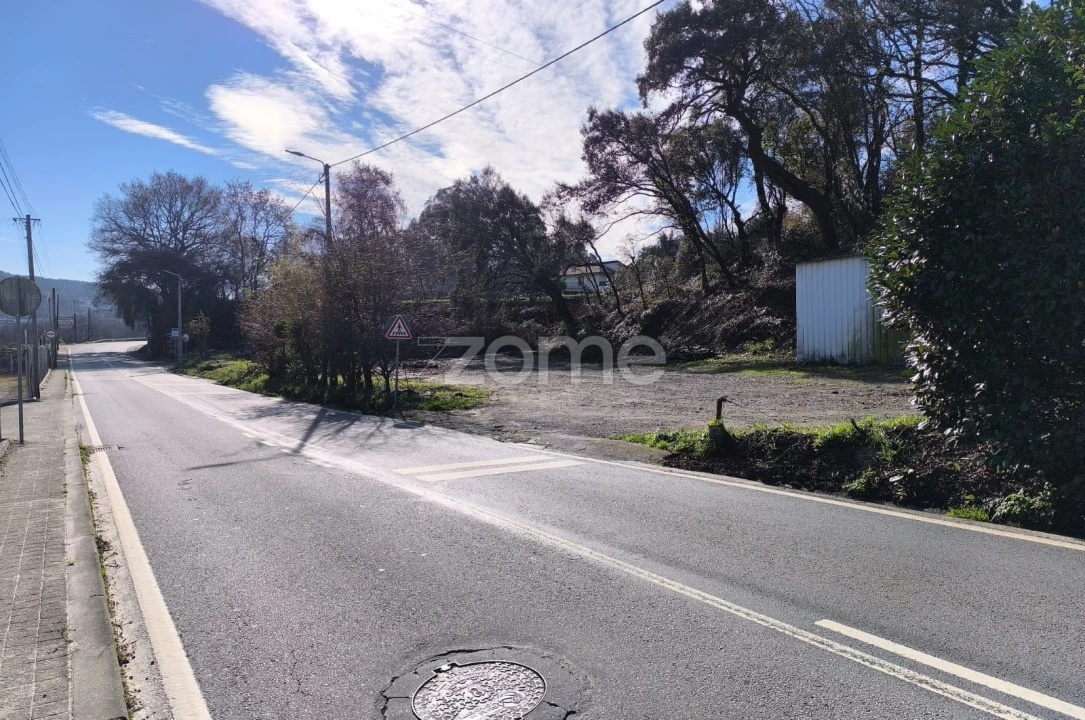 Terreno para Arrendamento em Lamelas e Guimarei Foto 17