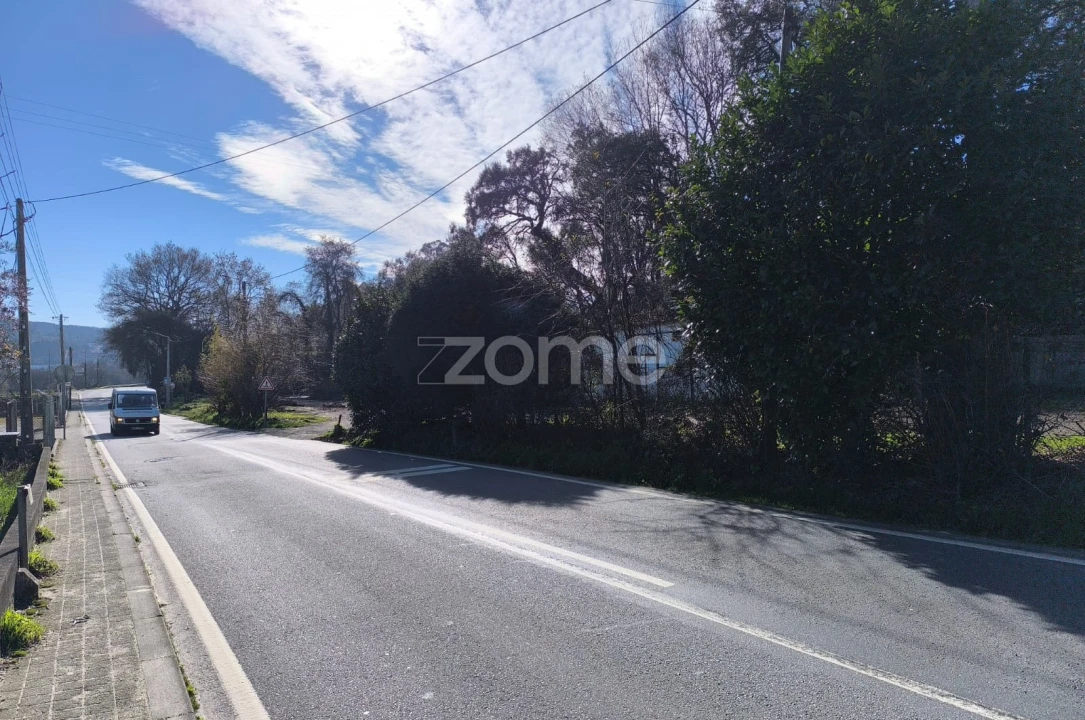 Terreno para Arrendamento em Lamelas e Guimarei Foto 16