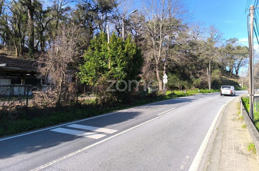 Terreno para Arrendamento em Lamelas e Guimarei Foto 14