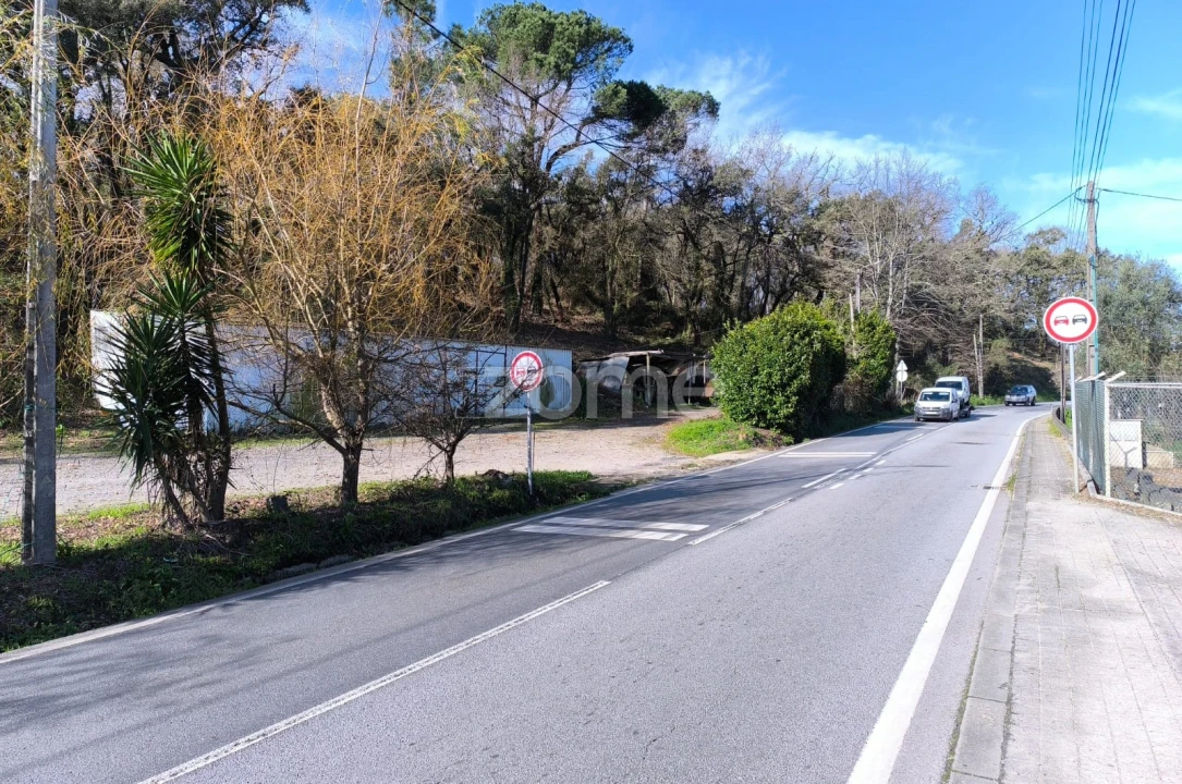 Terreno para Arrendamento em Lamelas e Guimarei Foto 13