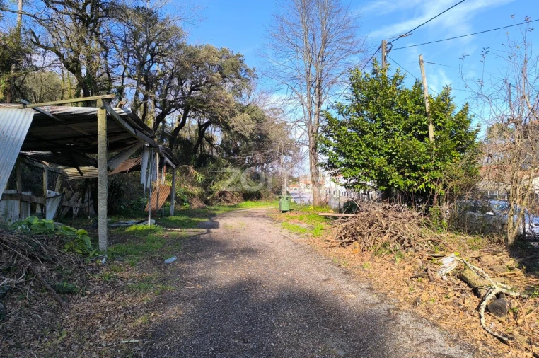 Terreno para Arrendamento em Lamelas e Guimarei Foto 22