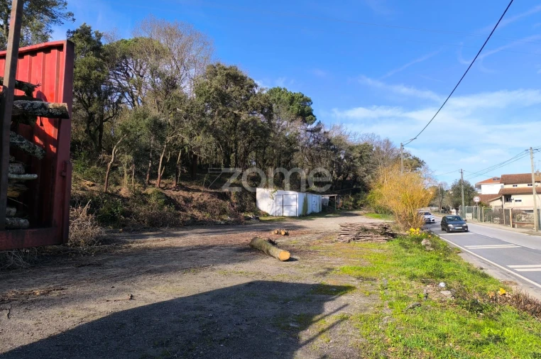 Terreno para Arrendamento em Lamelas e Guimarei Foto 19