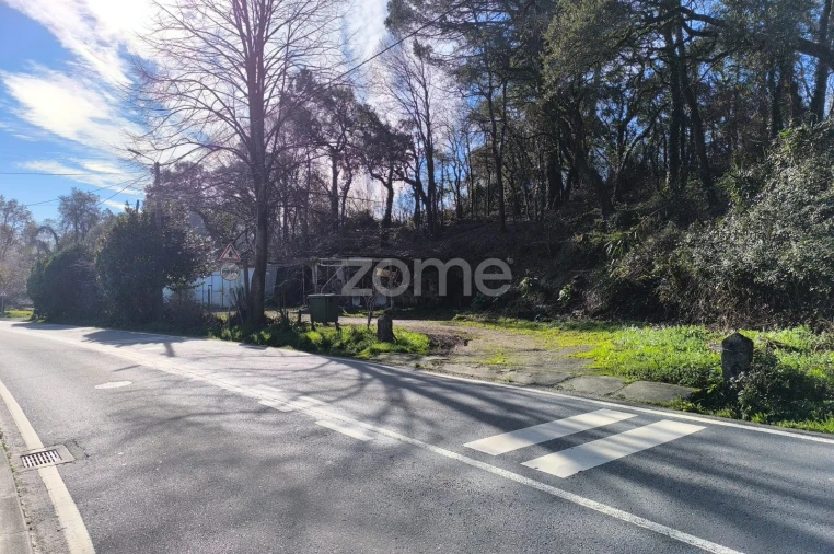 Terreno para Arrendamento em Lamelas e Guimarei Foto 15