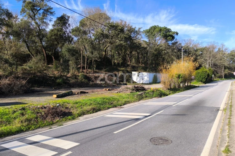 Terreno para Arrendamento em Lamelas e Guimarei Foto 12