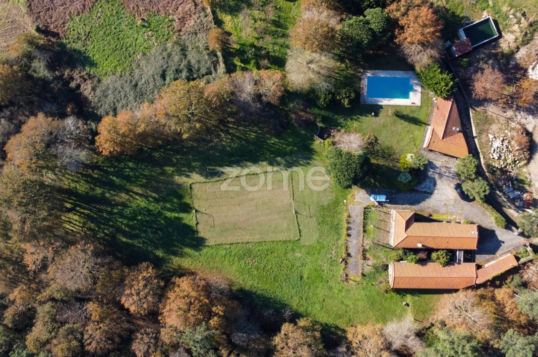 Quinta T7 para Venda em Mentrestido Foto 30