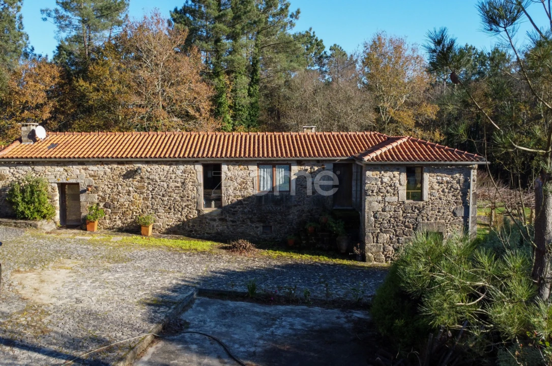 Quinta T7 para Venda em Mentrestido Foto 6