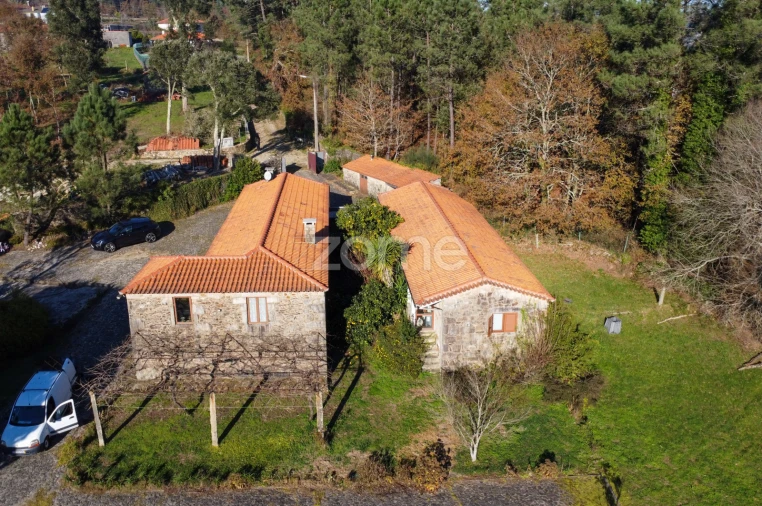 Quinta T7 para Venda em Mentrestido Foto 28