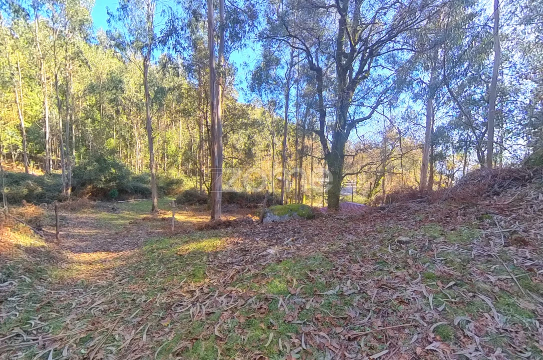 Moradia T1 para Venda em Gondoriz Foto 6