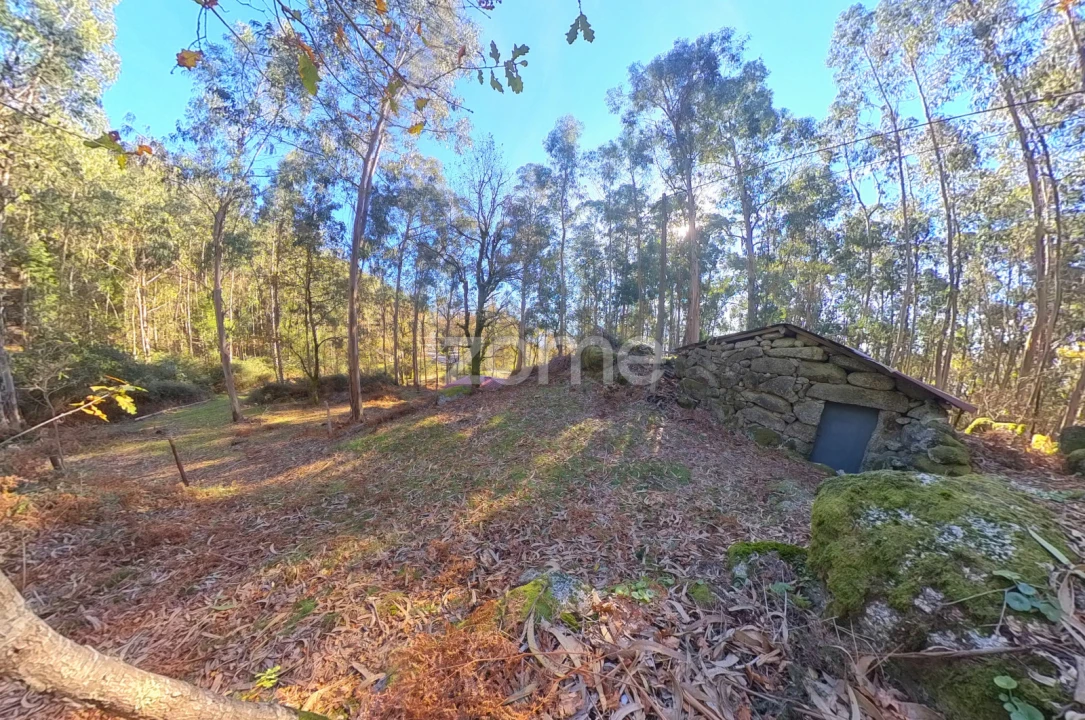 Moradia T1 para Venda em Gondoriz Foto 4