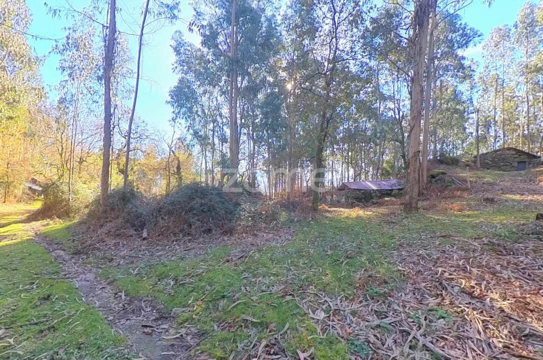 Moradia T1 para Venda em Gondoriz Foto 9