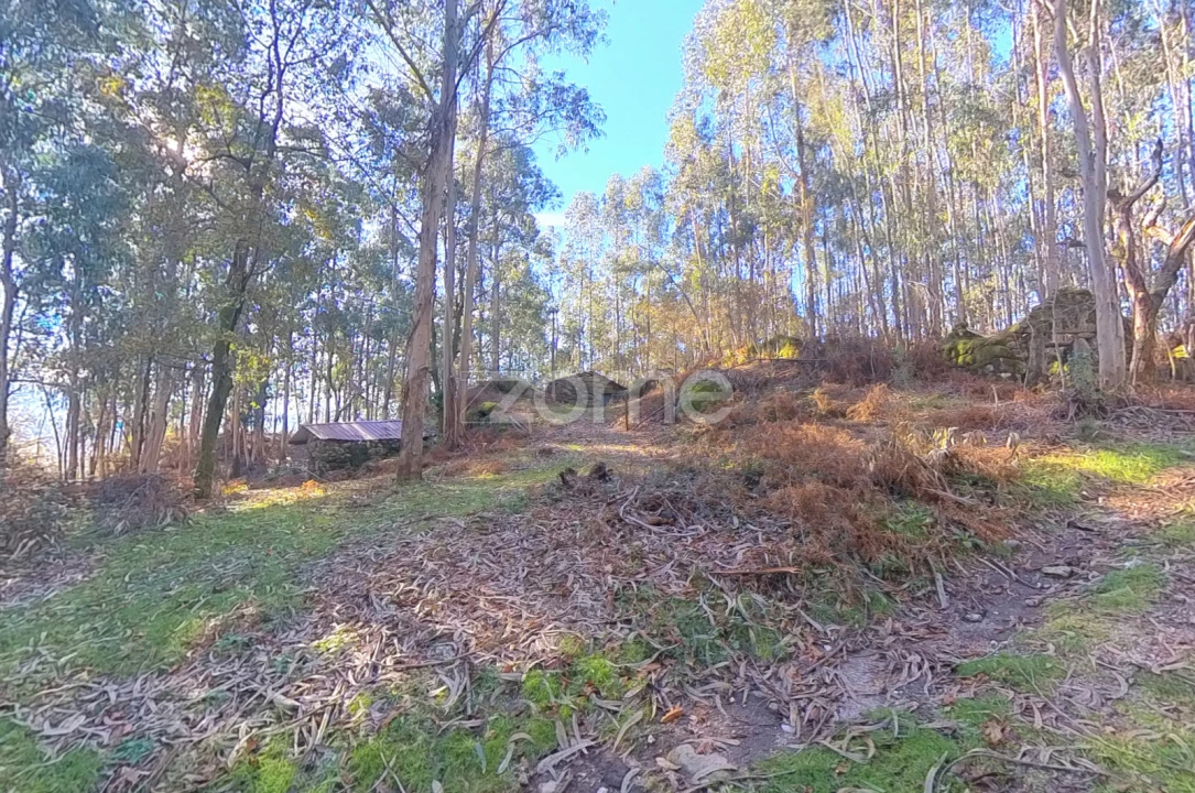 Moradia T1 para Venda em Gondoriz Foto 10