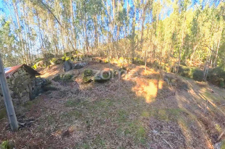 Moradia T1 para Venda em Gondoriz Foto 12