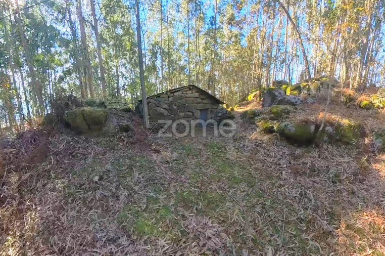 Moradia T1 para Venda em Gondoriz Foto 13