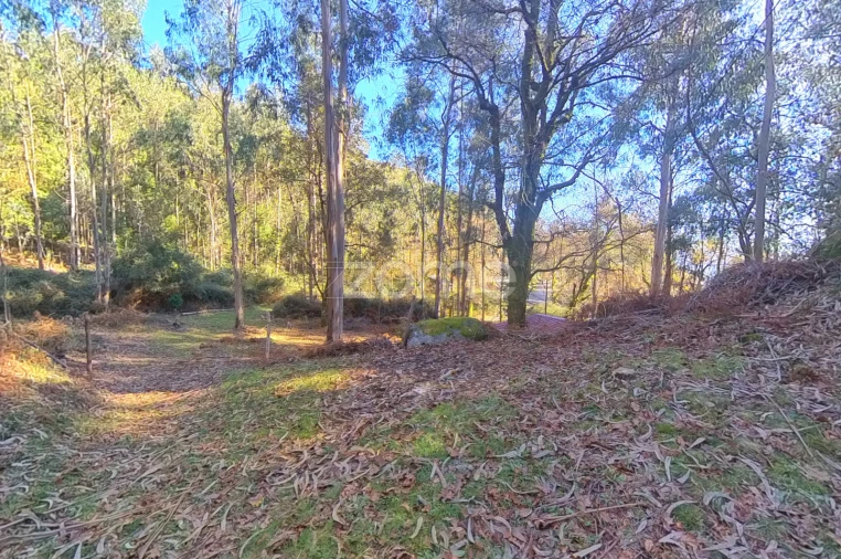 Moradia T1 para Venda em Gondoriz Foto 6