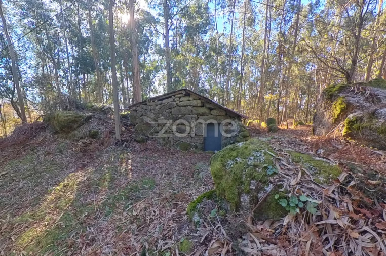 Moradia T1 para Venda em Gondoriz Foto 7