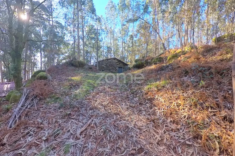 Moradia T1 para Venda em Gondoriz Foto 3