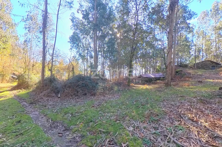 Moradia T1 para Venda em Gondoriz Foto 9