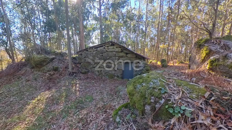 Moradia T1 para Venda em Gondoriz